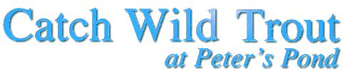 Catch Wild Trout at Peter's Pond